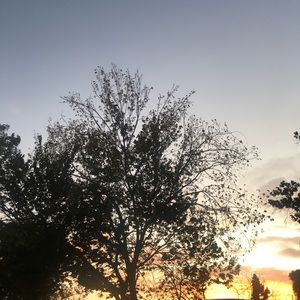 Meet your Posher, Aileen